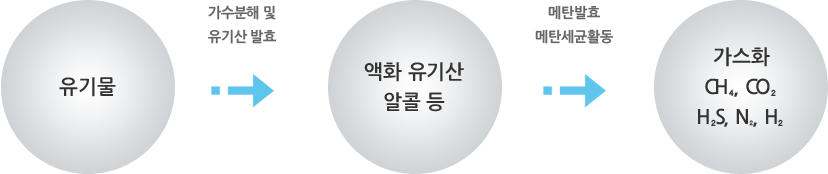 혐기성 처리과정 | 유기물이 가수분해 및 유기산 발효를 거쳐 액화 유기산 알콜 등으로 변화하고 메탄발효와 메탄세균활동을 거쳐 CH4, CO2, H2S, N2, H2 등으로 가스화